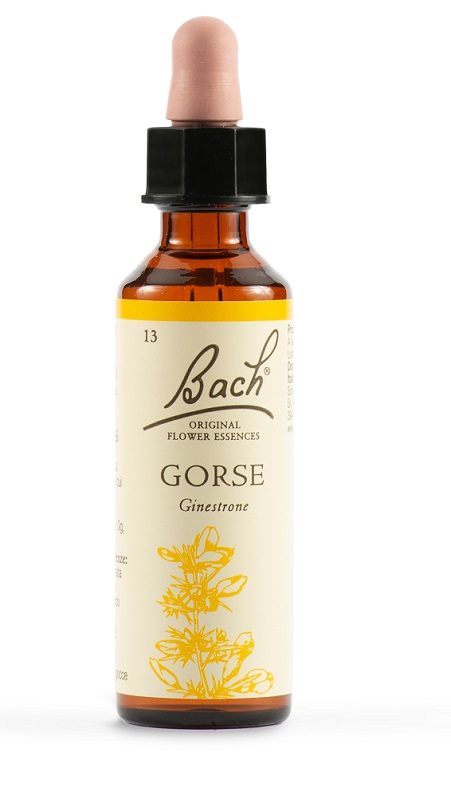 GORSE BACH ORIG 20 ML - Farmacia Mastrangelo 