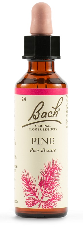 PINE BACH ORIG 20 ML - Farmacia Mastrangelo 