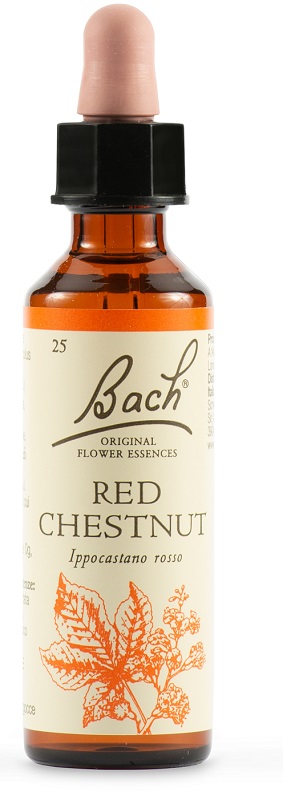 RED CHESTNUT BACH ORIG 20 ML - Farmacia Mastrangelo 