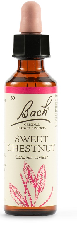 SWEET CHEST BACH ORIG 20 ML - Farmacia Mastrangelo 