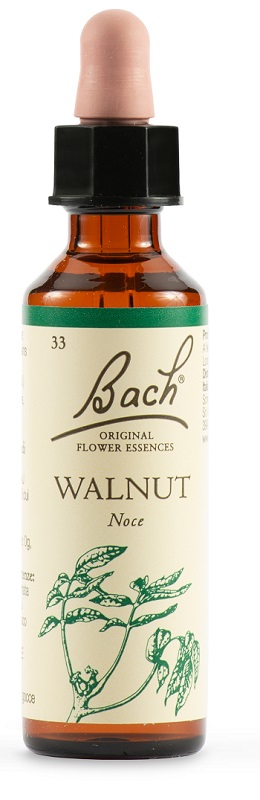 WALNUT BACH ORIG 20 ML - Farmacia Mastrangelo 