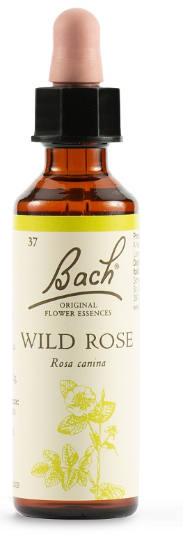 WILD ROSE BACH ORIG 20 ML - Farmacia Mastrangelo 