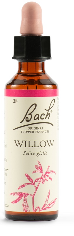 WILLOW BACH ORIG 20 ML - Farmacia Mastrangelo 