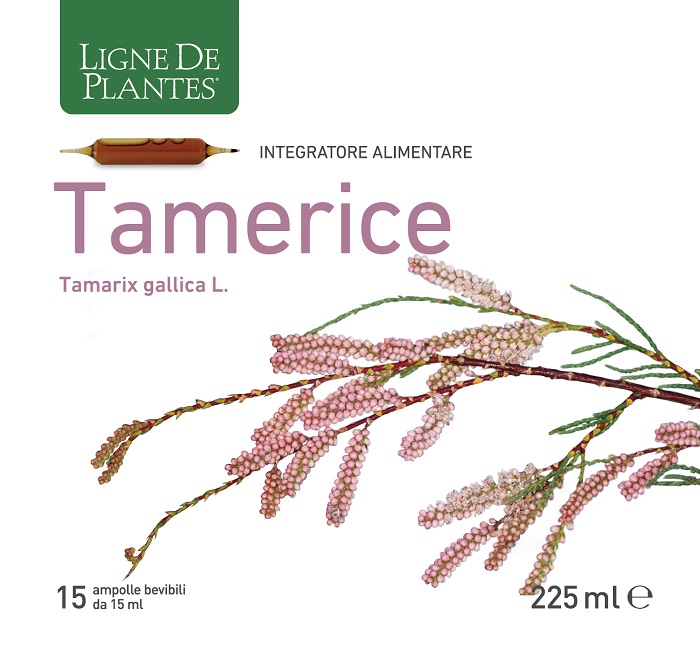 TAMERICE 15 AMPOLLE 15 ML - Farmacia Mastrangelo 