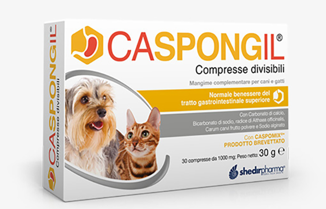 CASPONGIL 30 COMPRESSE DIVISIBILI - Farmacia Mastrangelo 