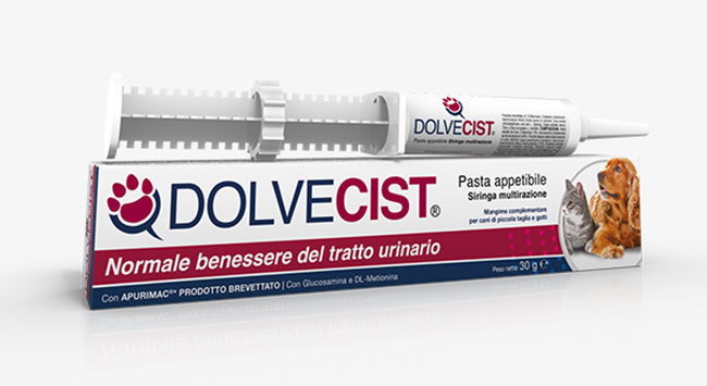 DOLVECIST PASTA SIRINGA 30 G - Farmacia Mastrangelo 