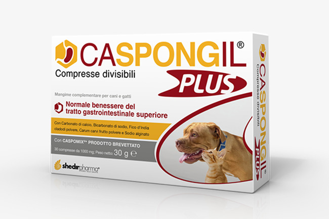 CASPONGIL PLUS 30 COMPRESSE - Farmacia Mastrangelo 