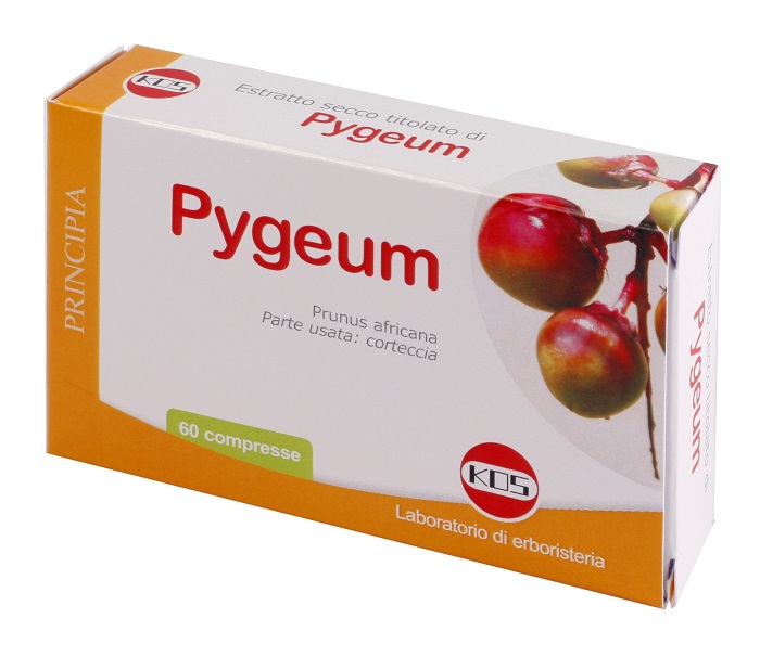 PYGEUM ESTRATTO SECCO 60 COMPRESSE - Farmacia Mastrangelo 