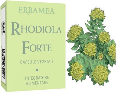 RHODIOLA FORTE 24 CAPSULE - Farmacia Mastrangelo 