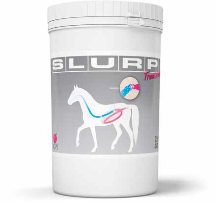 SLURP TREATMENT 800 G - Farmacia Mastrangelo 