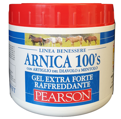 ARNICA 100'S EXTRA FORTE 500 ML - Farmacia Mastrangelo 