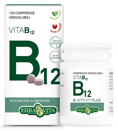 B APPORT VITAMINA B12 120 COMPRESSE OROSOLUBILI - Farmacia Mastrangelo 