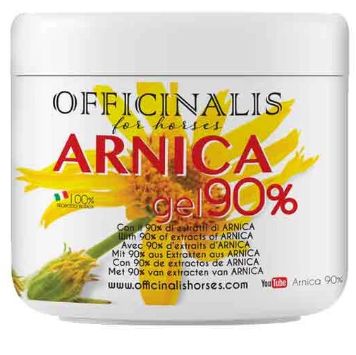 ARNICA GEL 90% 500 ML - Farmacia Mastrangelo 