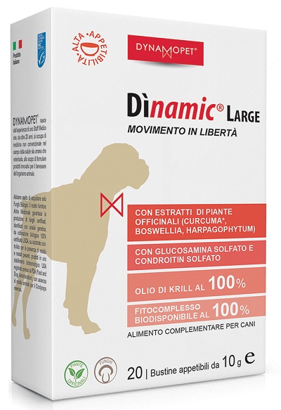 DINAMIC LARGE 20 BUSTINE 10 G - Farmacia Mastrangelo 