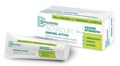 DERMOVITAMINA ACNECLIN IDROGEL ATTIVO AZIONE INTENSIVA 40 ML - Farmacia Mastrangelo 