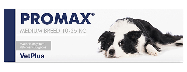 PROMAX MEDIUM BREED 18 ML - Farmacia Mastrangelo 