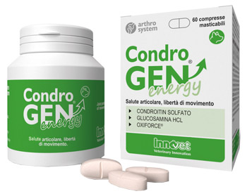 CONDROGEN ENERGY 60 COMPRESSE MASTICABILI - Farmacia Mastrangelo 