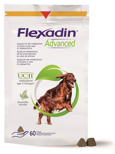 FLEXADIN ADVANCED CANE TUTTE LE TAGLIE 60 TAVOLETTE APPETIBILI - Farmacia Mastrangelo 