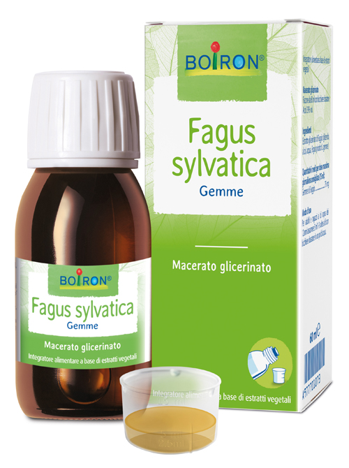 FAGUS SYLVATICA BOIRON MACERATO GLICERICO 60 ML - Farmacia Mastrangelo 
