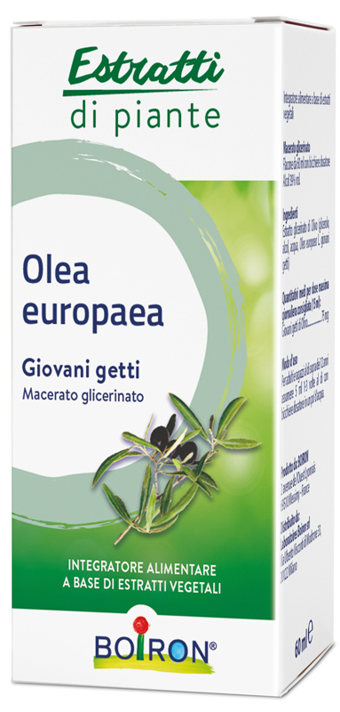 OLEA EUROPAEA BOIRON MACERATO GLICERICO 60 ML - Farmacia Mastrangelo 