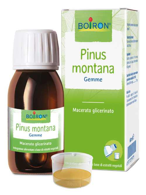 PINUS MONTANA BOIRON MACERATO GLICERICO 60 ML - Farmacia Mastrangelo 