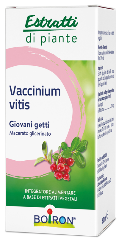 VACCINIUM VITIS MACERATO GLICERICO 60 ML - Farmacia Mastrangelo 