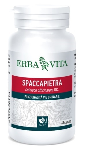 SPACCAPIETRA 60 CAPSULE - Farmacia Mastrangelo 