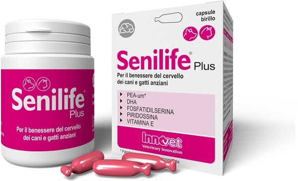 SENILIFE PLUS 30 CAPSULE - Farmacia Mastrangelo 