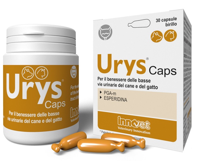 URYS CAPS 30 CAPSULE - Farmacia Mastrangelo 